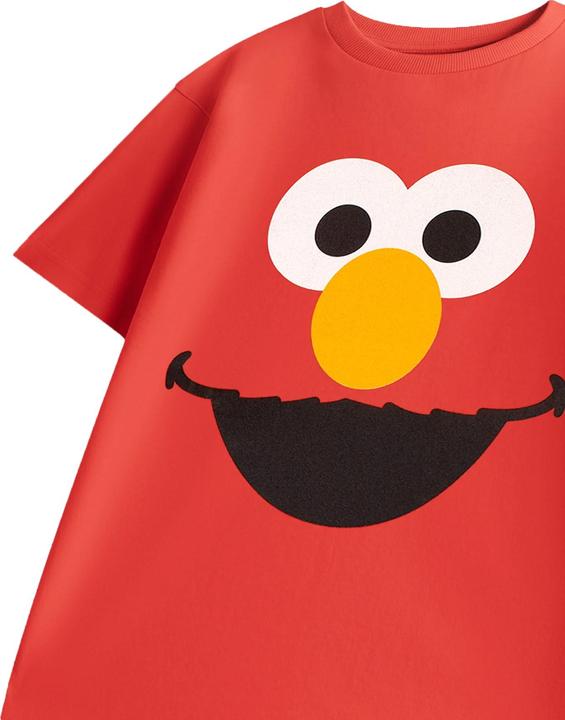 Produktbild Sesame Street TShirt (92)