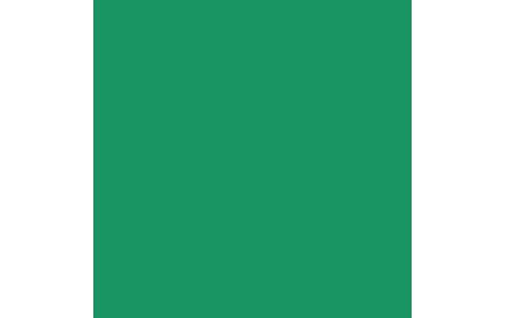 Produktbild Talens Acrylfarbe Amsterdam 500ml 17726152 pauol veronesegruen (Smaragdgrün, 500 ml)
