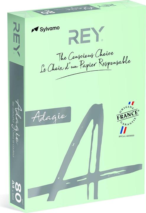 Rey Adagio CARTA PER COPIE ADAGIO A4 80gr VERDE CHIARO 81 (80 g/m², 81 x, A4)
