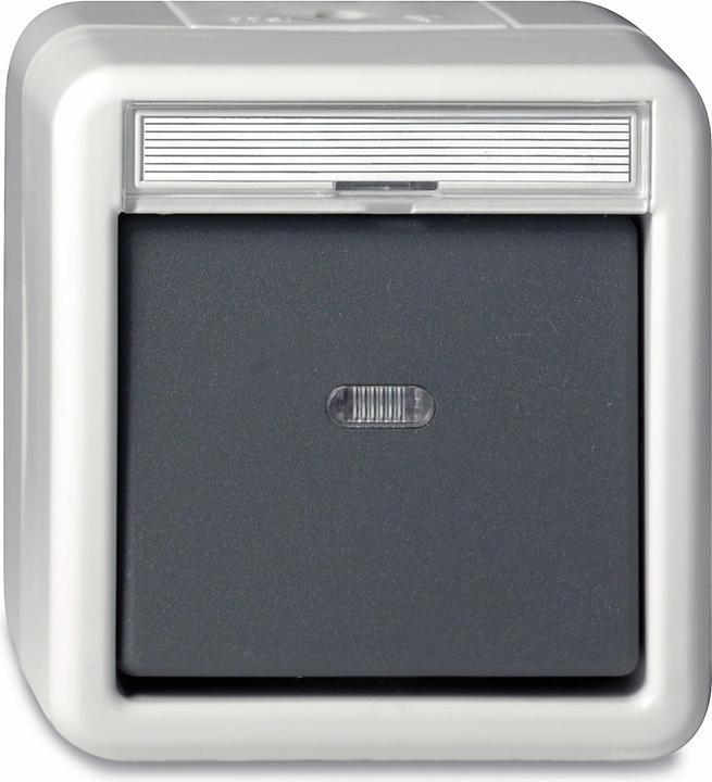 Produktbild Gira Wechseltaster