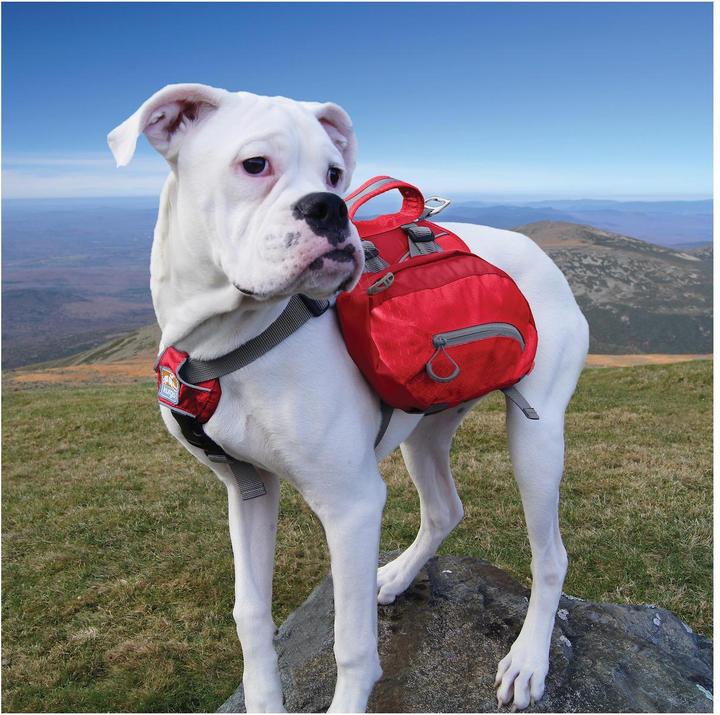 Produktbild Kurgo Baxter (M)