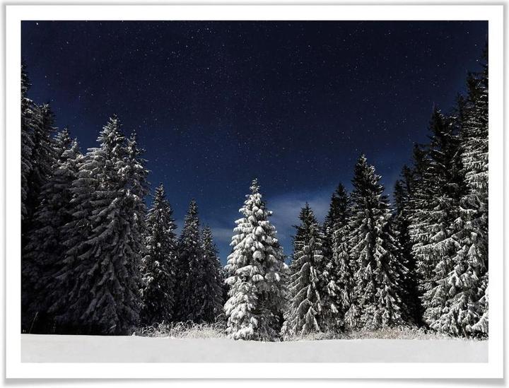 Produktbild Trenddeko Winterwald (30 x 24 cm)