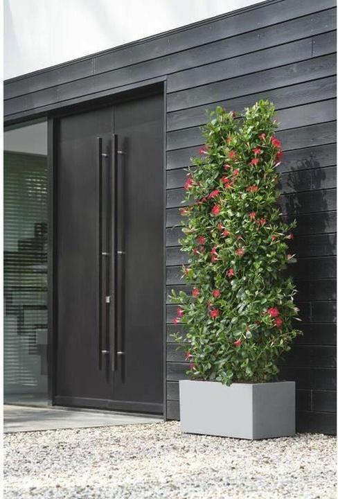 Produktbild Elho Vivo Next Lang (800 cm)