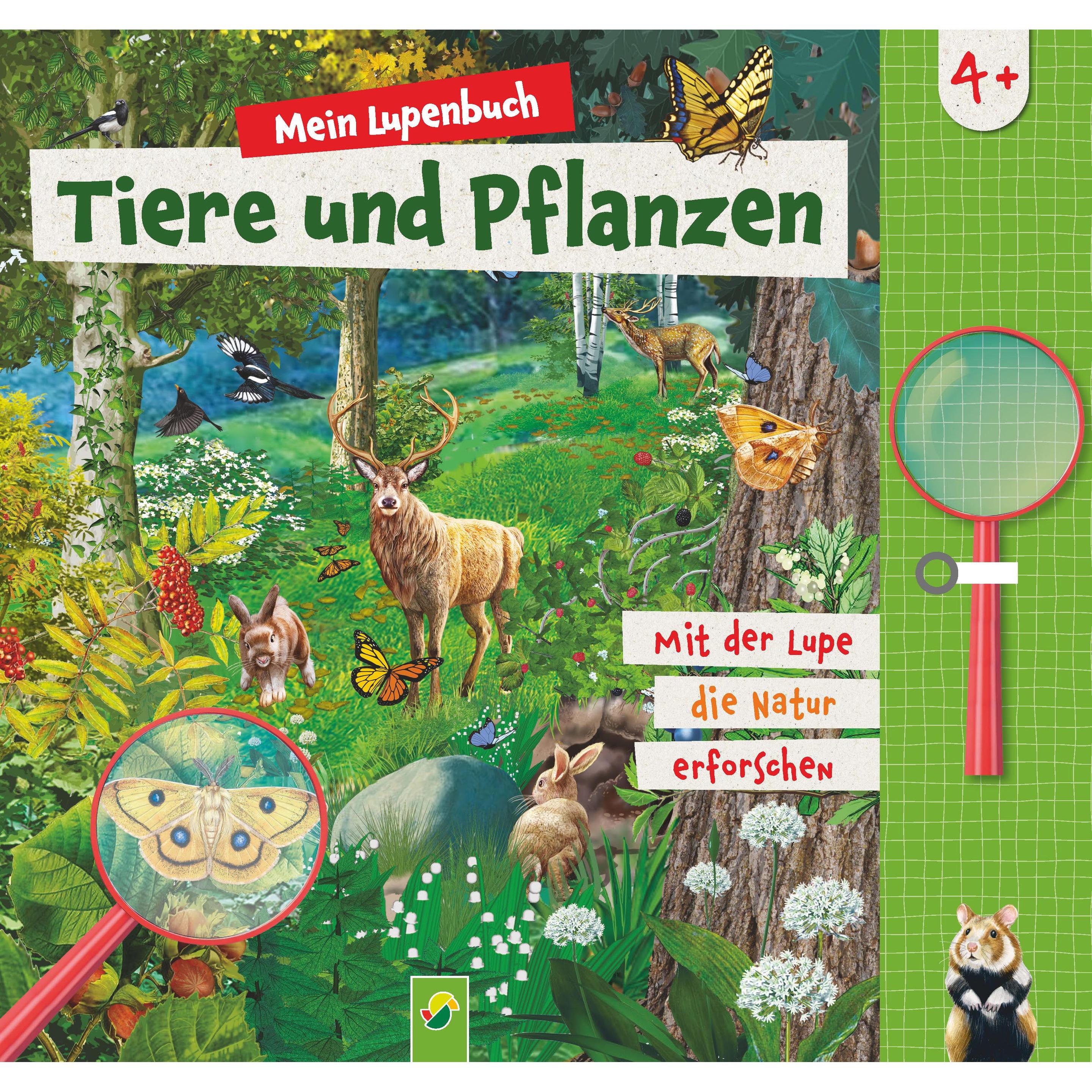 Schwager & Steinlein, Experimentierkasten, Noa:Mein Lupenbuch Tiere und Pflanzen