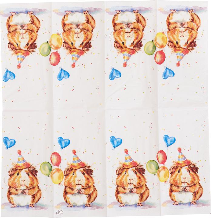 Actual product image IHR Papiertaschentücher "Kalli"