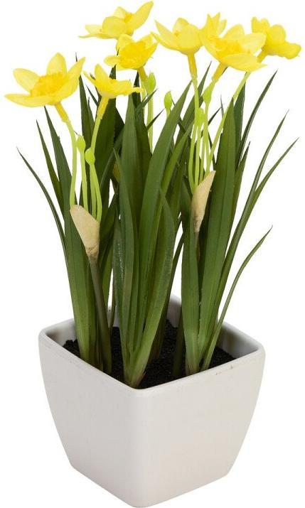 Immagine prodotto Europalms Giunchiglia, pianta artificiale, 23 cm (23 cm)