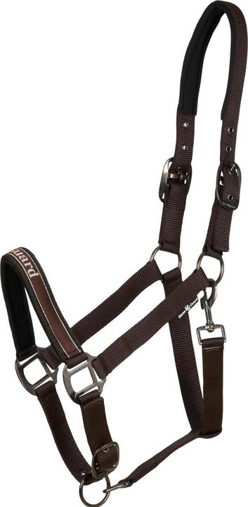 Immagine prodotto Horse Guard Sandra After Dark