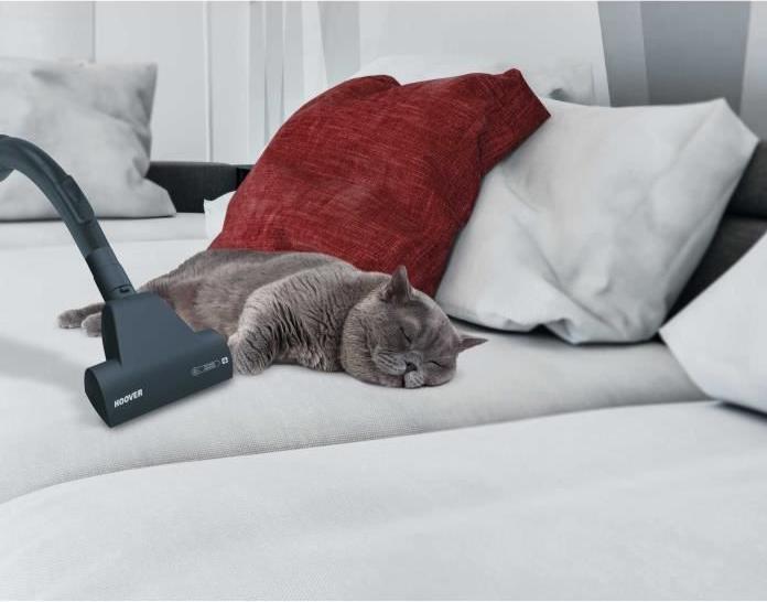 Produktbild Hoover Xarion Pro XP81 XP25011 Zylinder-Vakuum Trocken Beutellos