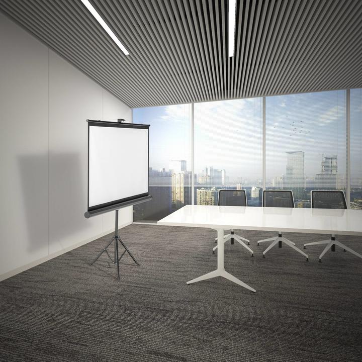 Actual product image SpeaKa Professional Tripod screen 240 x 135 cm Aspect ratio: 16:9 SP-PST-360 SP-9430136 (107.87", 16:9)