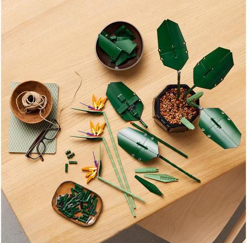 Actual product image LEGO Bird of Paradise (10289, LEGO Rare Sets)