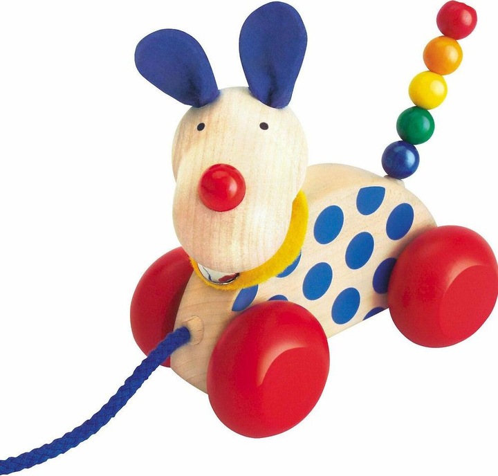 Actual product image Selecta Spielzeug Pull-along dog Nico