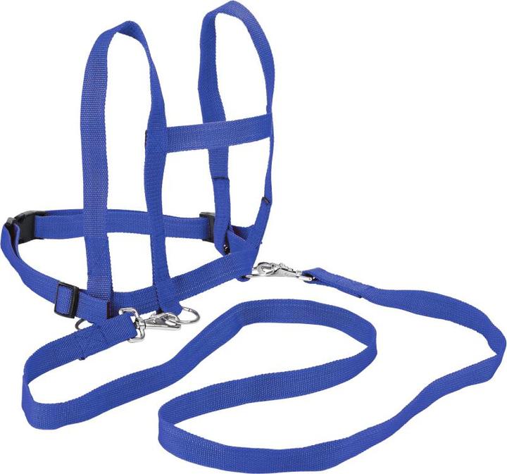 Immagine prodotto Eduplay Guinzaglio per cavalli / Rösslileine (1 x, 300 g)