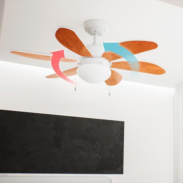 Image du produit Cecotec ENERGYSILENCE AERO 360