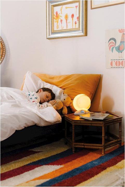 Image du produit Kidywolf Animo Mondo