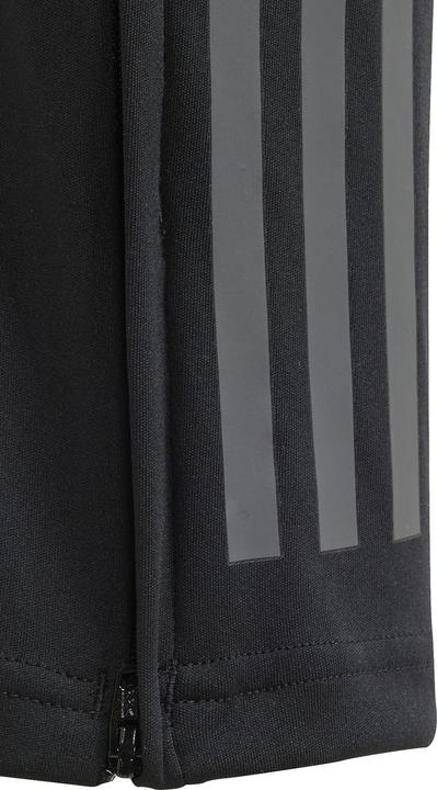 Actual product image adidas TIRO24 C TRPNTY (116)