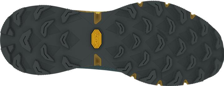Actual product image Dynafit Ultra 100 running shoe (40.5)