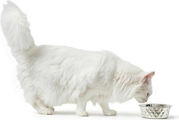 Produktbild Hunter Napf Namy für Hunde und Katzen XXL (410 cl)