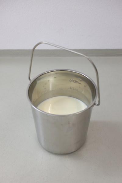 Produktbild Kerbl Edelstahleimer