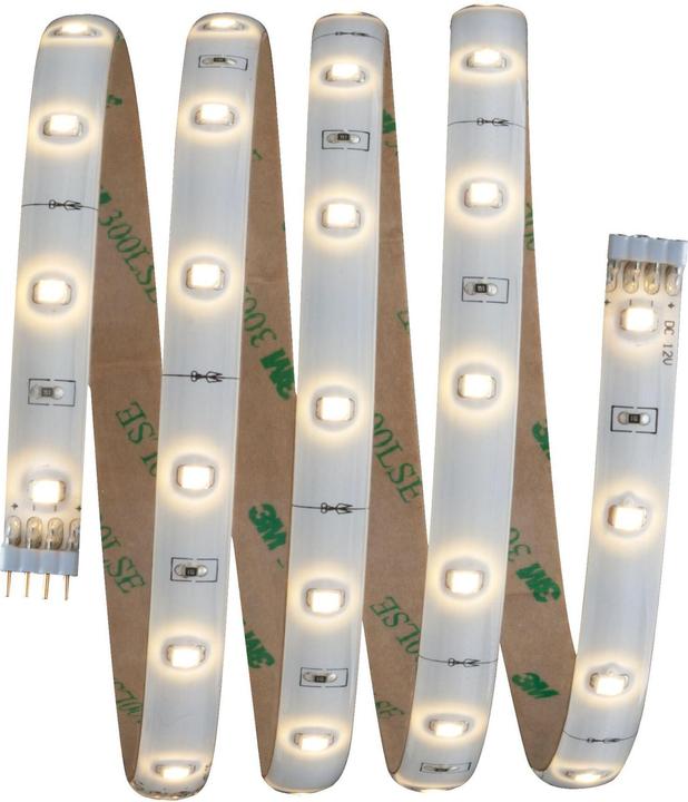 Image du produit Paulmann YourLED (Blanc chaud, 150 cm, Intérieur)