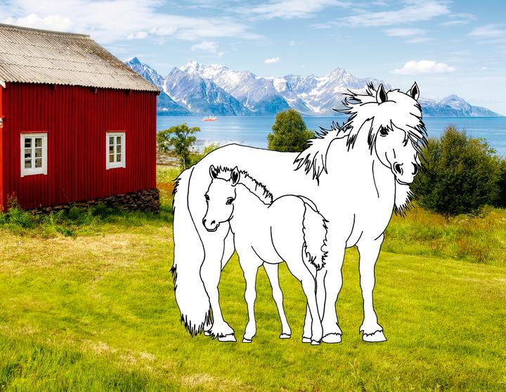 Produktbild Traumpferde-Malbuch: Strand & Meer