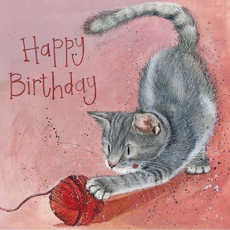 Teka, Biglietto di auguri + Carta da lettere, AC824 Pixie-Katzen-Geburtstagskarte