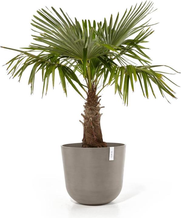 Image du produit Ecopots Oslo (55 cm)