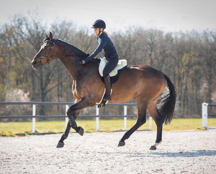 Produktbild Qhp Supersofte Rohe Reitunterlage für Pferde