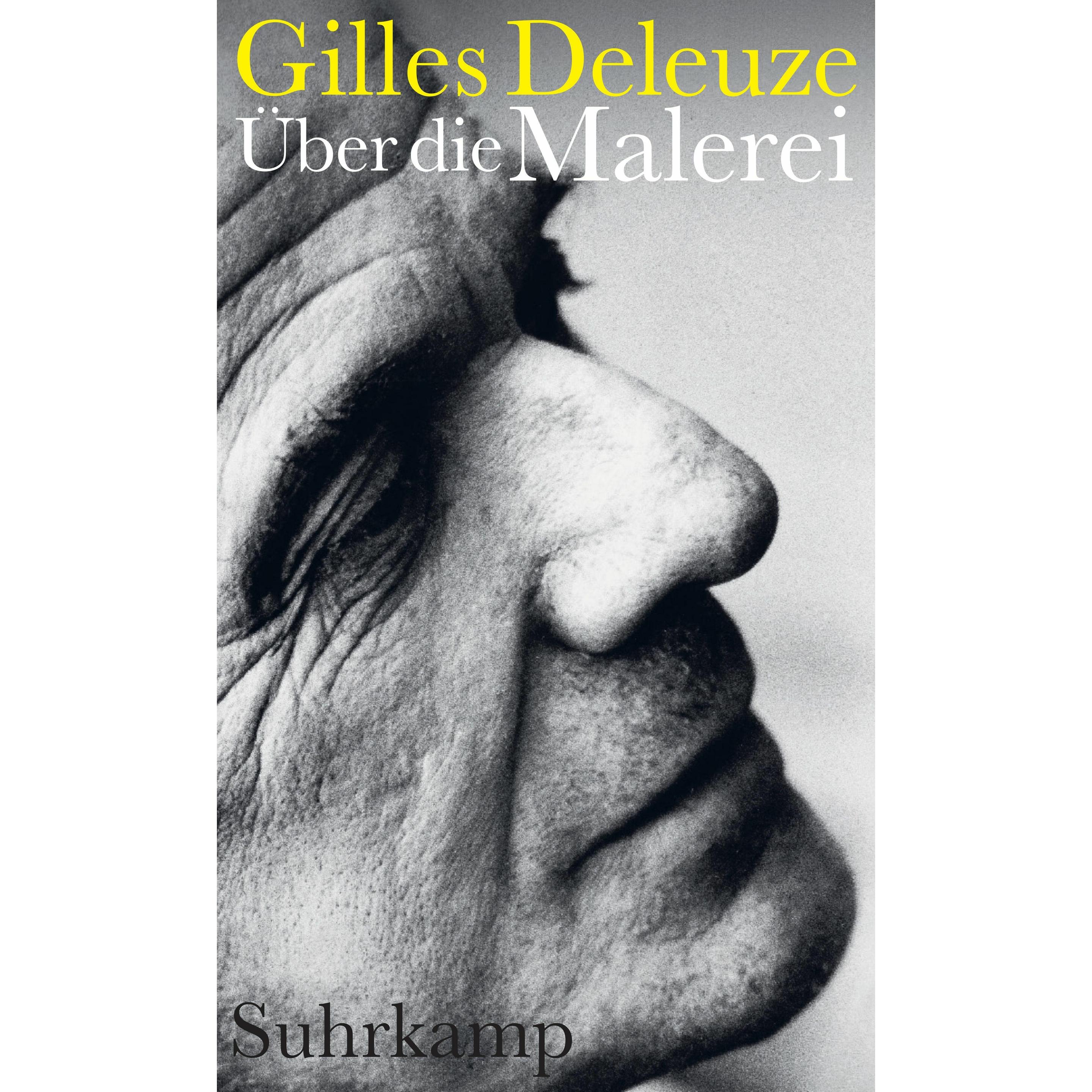 Über die Malerei, Sachbücher von Gilles Deleuze