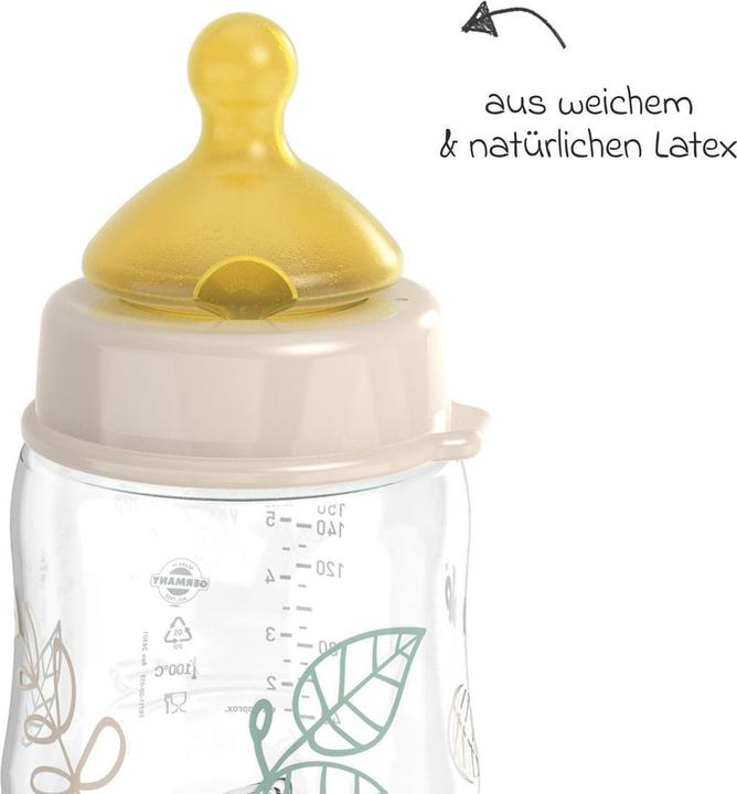 Produktbild NIP Babyflaschen PP-Flasche Cherry Green 150 ml + Latex-Trinksauger (150 ml)