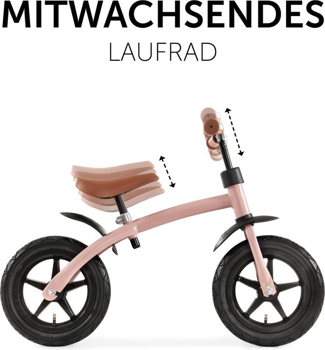 Image du produit Hauck E Z Rider 12 Matt Rose (12")
