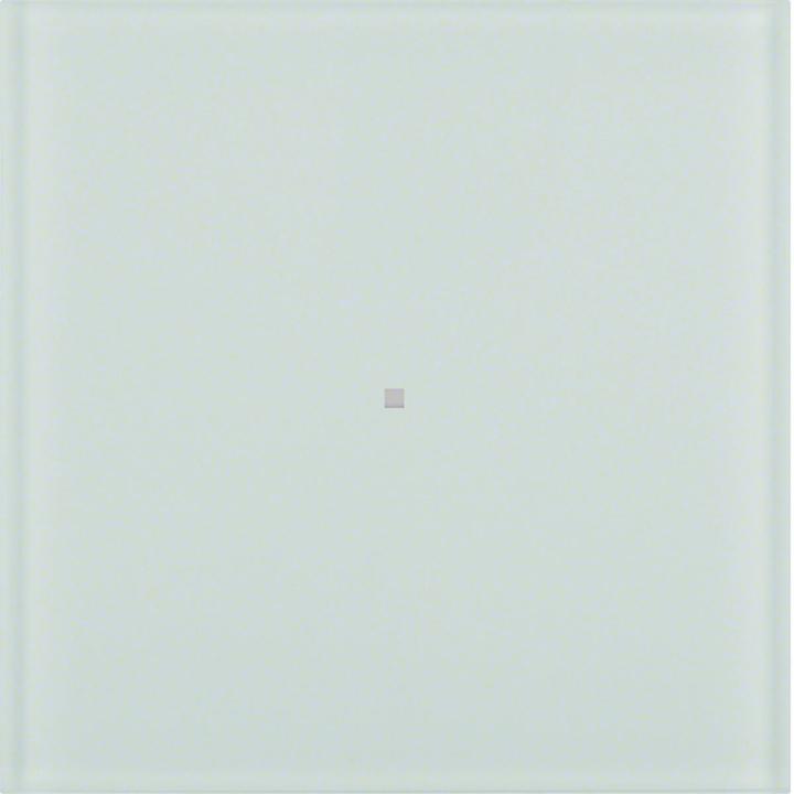 Actual product image Berker 75161090