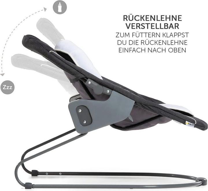 Actual product image Hauck Alpha Bouncer Deluxe