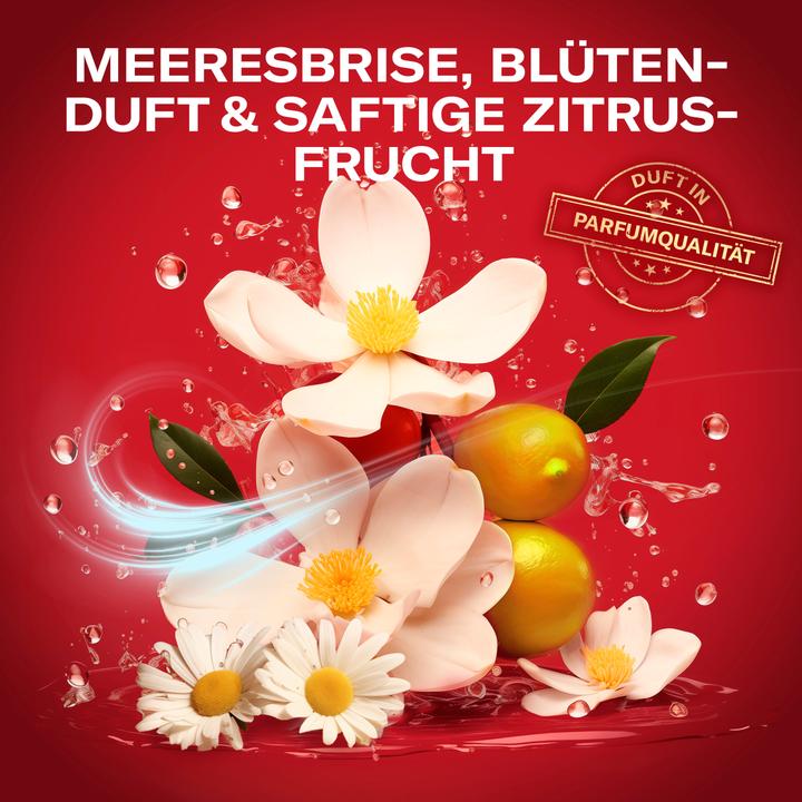 Immagine prodotto Old Spice Deep Sea (1000 ml, Shampoo liquido)