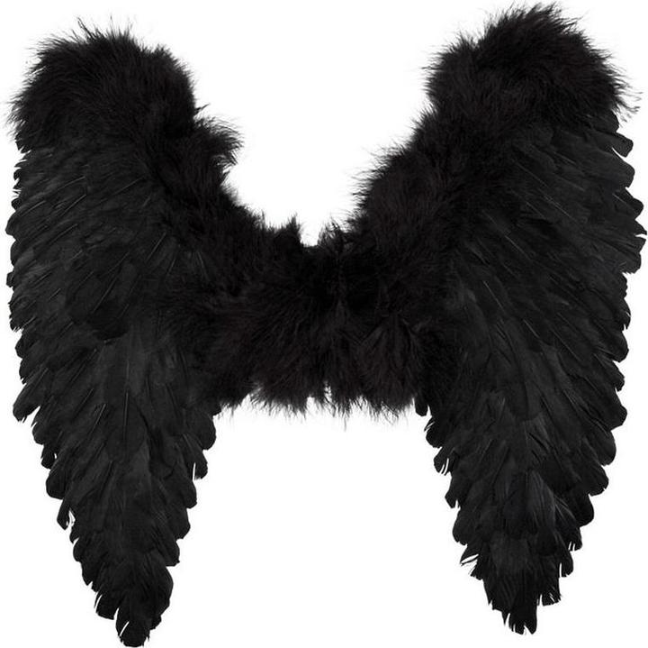 Actual product image Fasnacht Angel wings