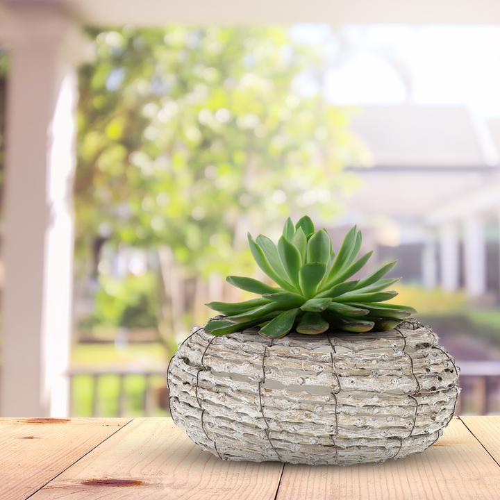 Image du produit Relaxdays 2x pot de fleurs (20 cm)