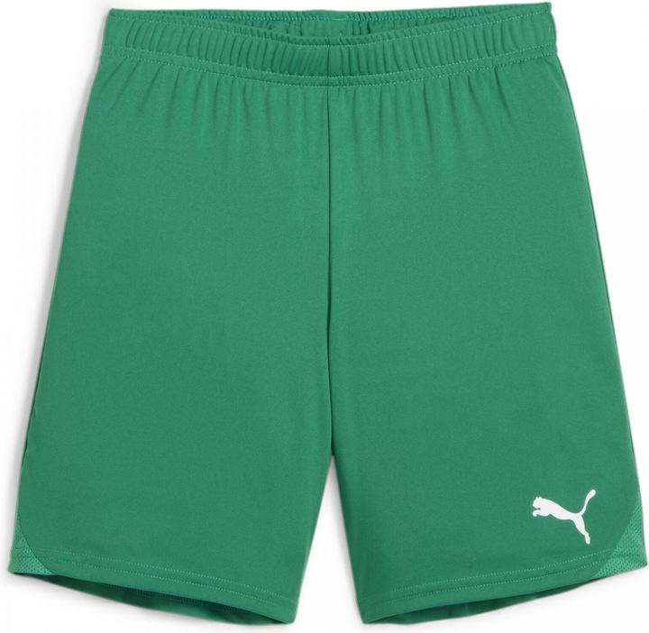 Produktbild Puma teamGOAL Shorts Jr (140)