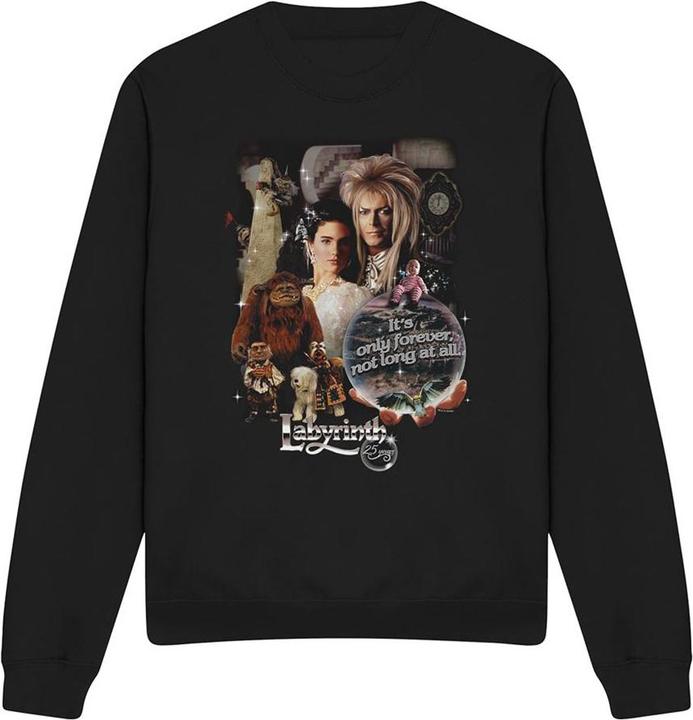 Produktbild 25 Years Of Magic Sweatshirt (M)