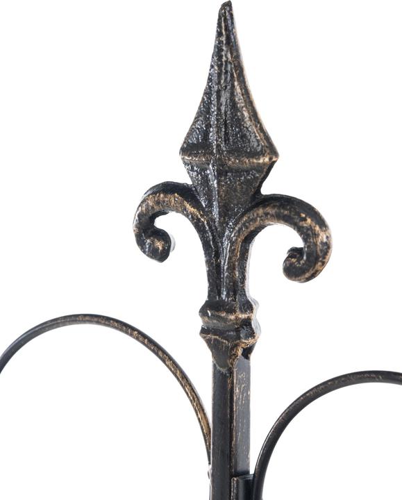 Immagine prodotto CLP Mandevilla a traliccio, bronzo (1 cm, 99 cm)