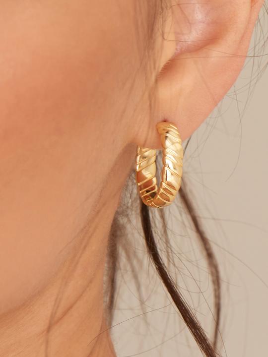 Immagine prodotto Ania Haie Creoli a torsione liscia E038-03G (Argento 925)