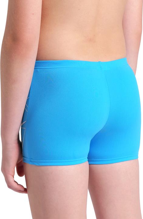 Produktbild Arena B Losange Graphic Swim Short (164)