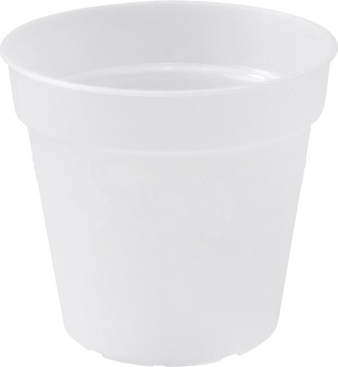 Elho Green Basics Orchidee