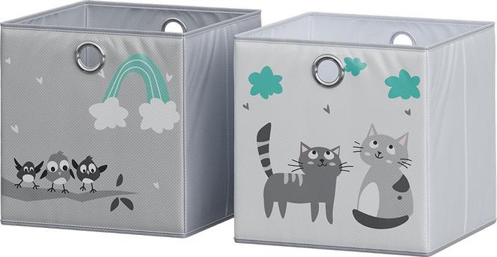 Gris (chats et oiseaux)