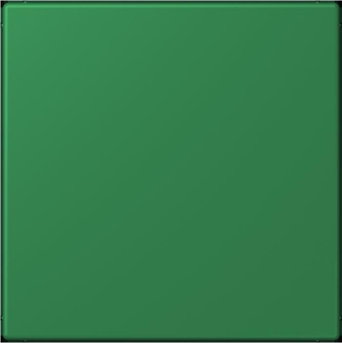 Produktbild JUNG Blindabdeckung