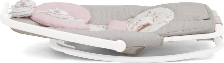 Actual product image Joie Dreamer