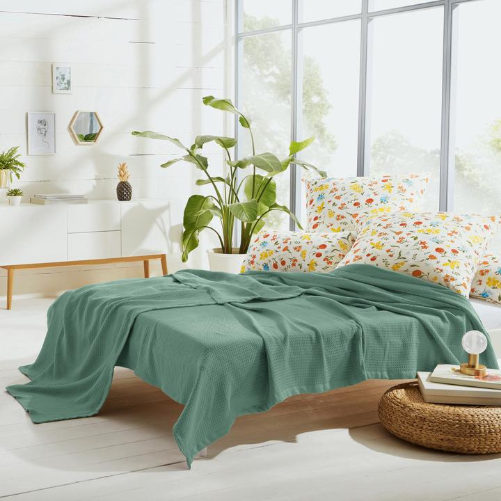 Image du produit Erwin Müller Sommerdecke (220 x 240 cm)