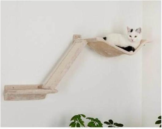 Produktbild Kerbl Kletterwand