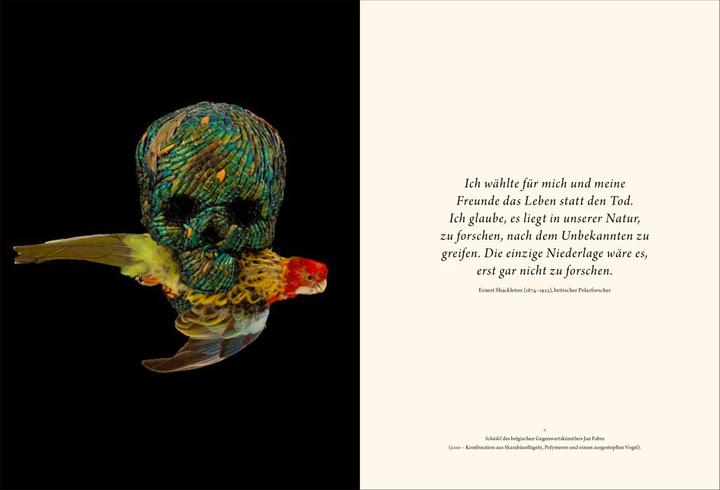Produktbild Wunderkammer (Deutsch, Thijs Demeulemeester, 2018)