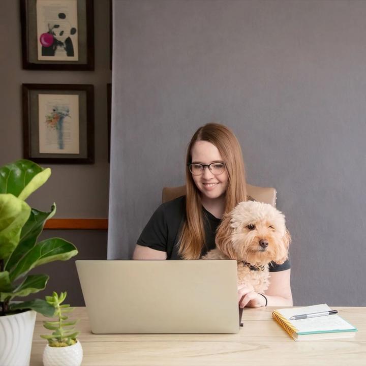 Image du produit Westcott 620 X-Drop (152.40 cm, 213.36 cm)