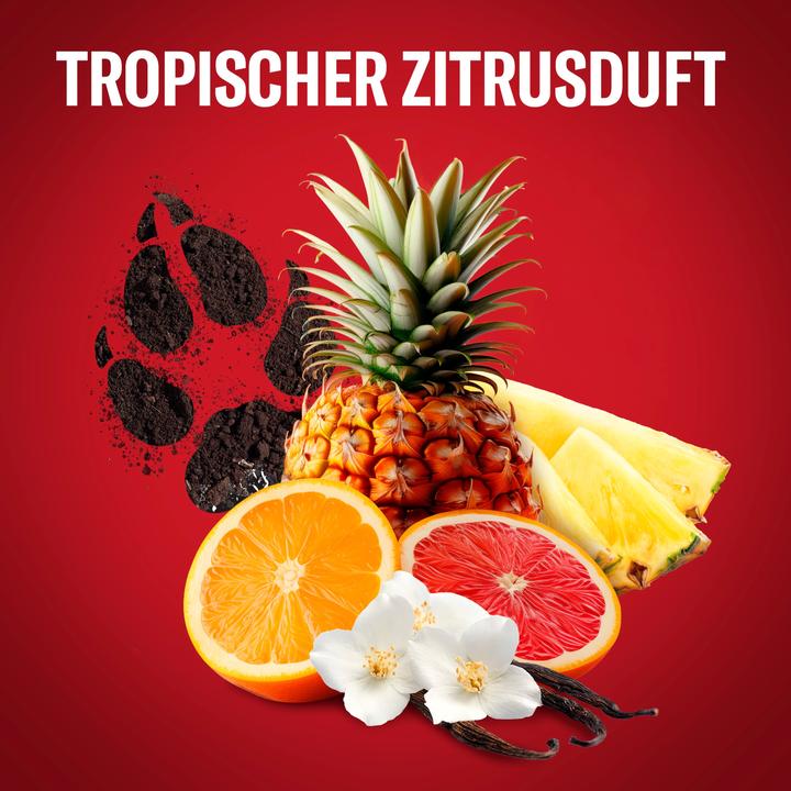 Image du produit Old Spice Wolfthorn 3-in-1 (1000 ml)