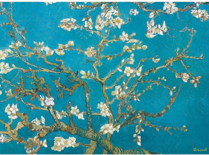 Immagine prodotto Eurographics Rami di mandorlo in fiore. (1000 pezzi)